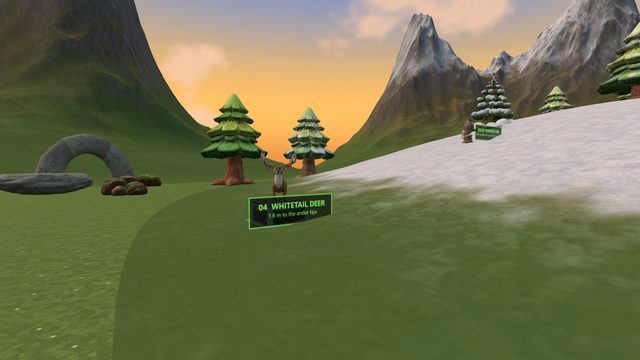 Wilderness Valley